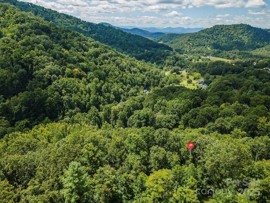 72 Applewood Ln unit 93, Weaverville, NC 28787 - photo 1