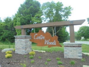 Carter wood photo