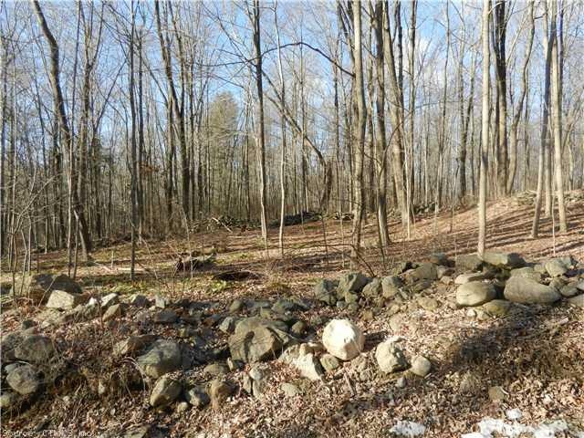Land. Beautiful acreage for subdivision  or single