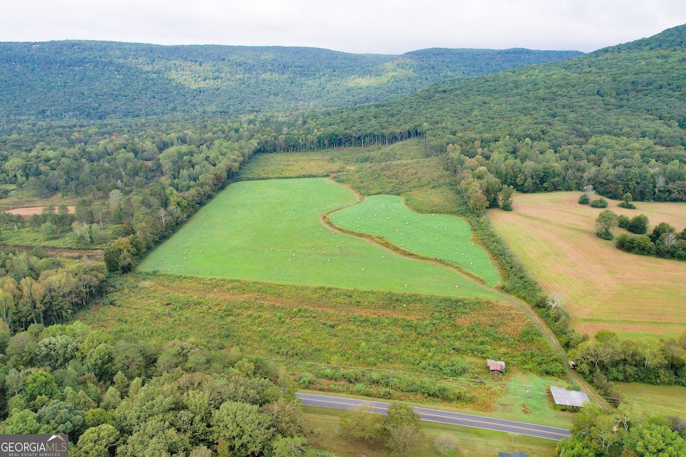 62 + - Acres On Chamberlain Rd, Lafayette, GA 30728 - photo 1