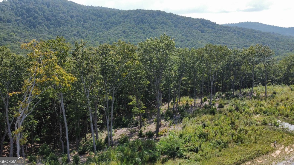 LT229 Highgrove Dr, Talking Rock, GA 30175 - photo 1