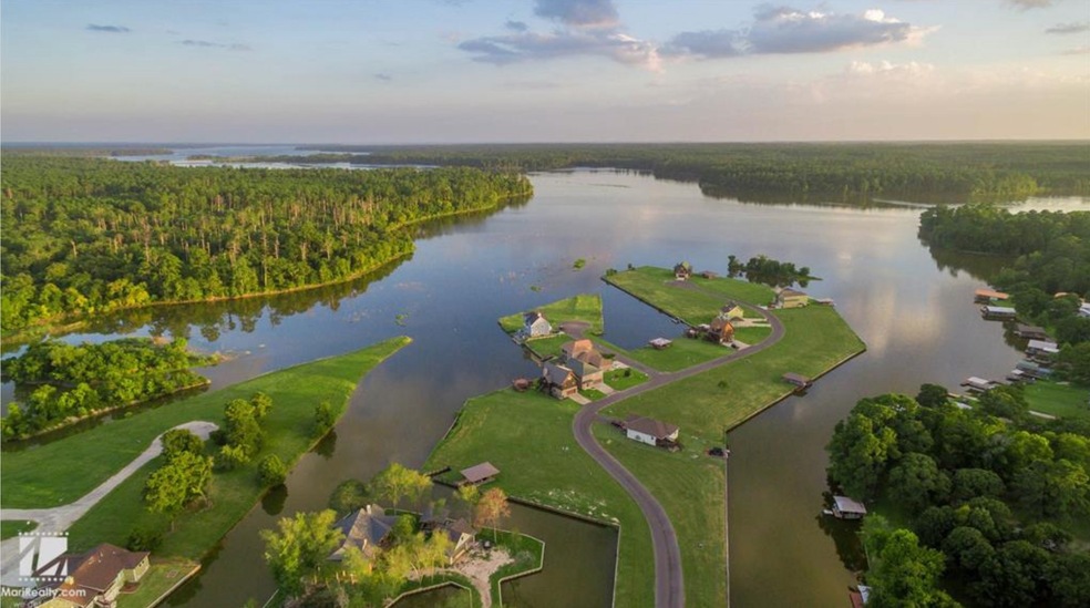 2 Alta Vista, Huntsville, TX 77340 - photo 1