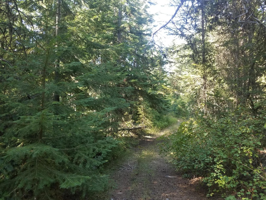 TBD Quinns Meadow Rd, Colville, WA 99114 - photo 1