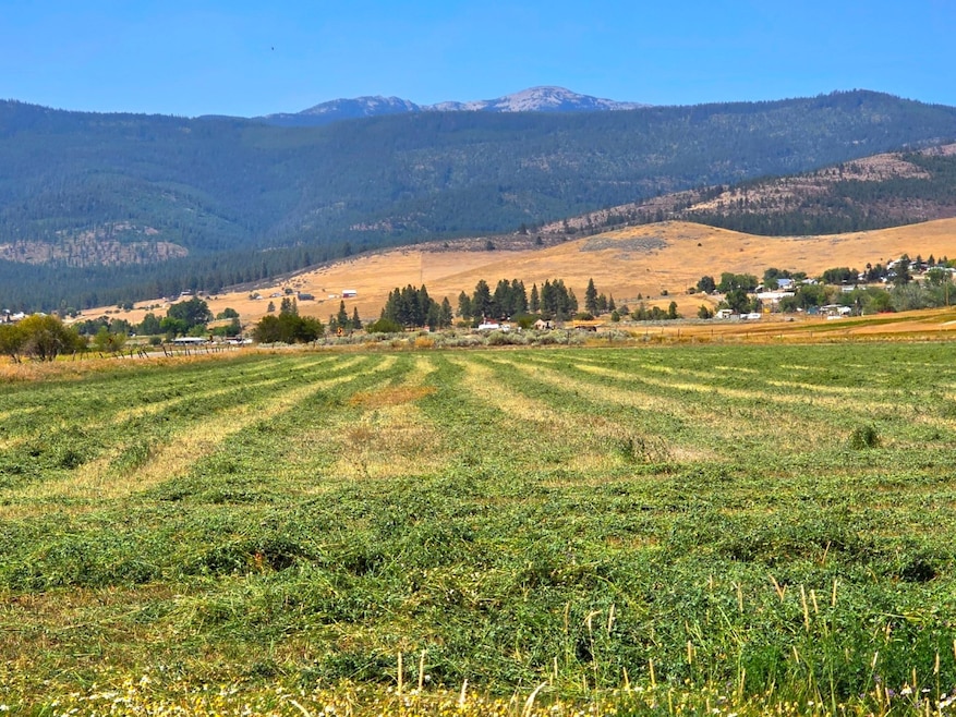 Tract 1B of COS 3917 Ekblad Rd, Hot Springs, MT 59845 - photo 1