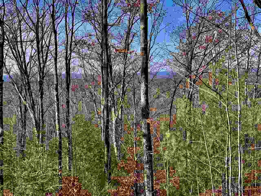 294 Mount Hunger Rd, Henniker, NH 03242 - photo 1