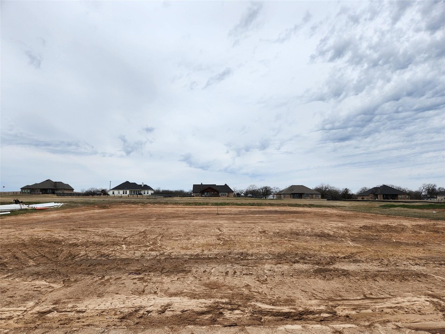 150 Lonicera Ln, Paradise, TX 76073 - photo 1