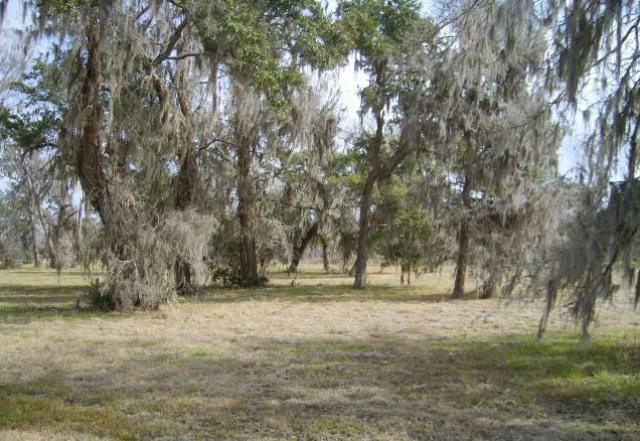 0 Bubba unit 56136, Brazoria, TX 77422 - photo 1