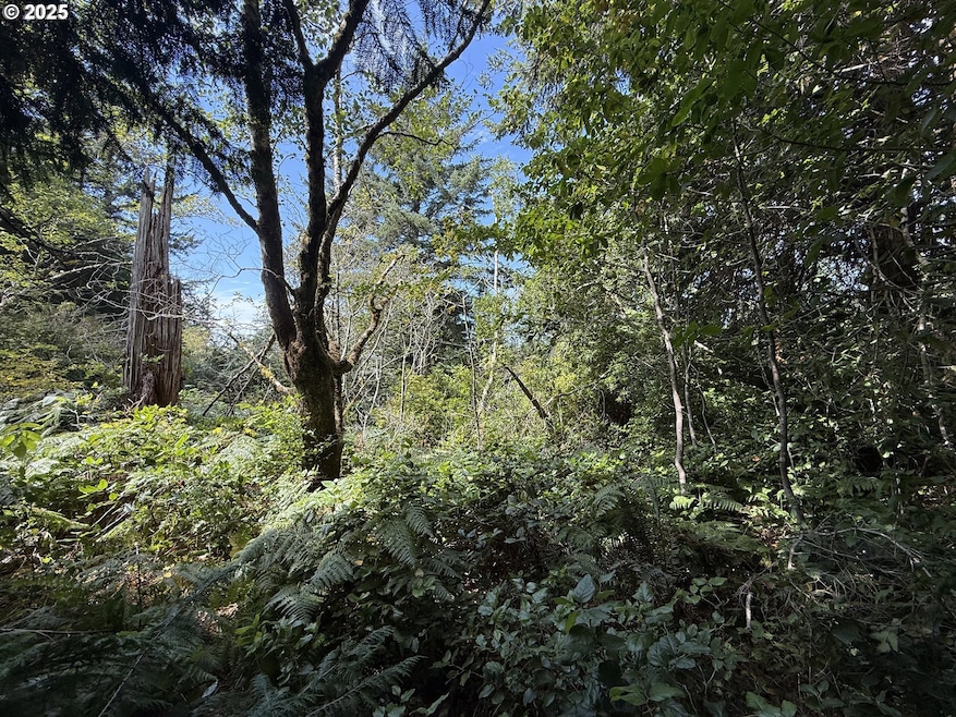 0 Averill Hill Rd unit 705339825, Portorford, OR 97465 - photo 1
