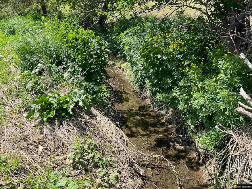 Parcel 4 Spring Saunders County Acreages County Rd, Yutan, NE 68073 - photo 1