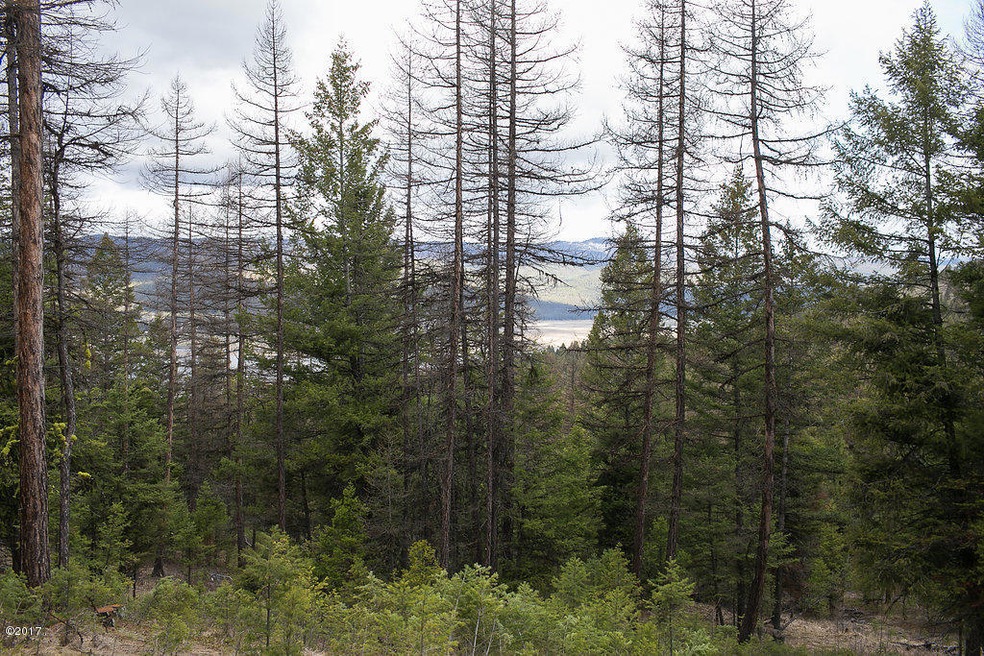 386 Rachael Meadow Ln, Kila, MT 59920 - photo 1