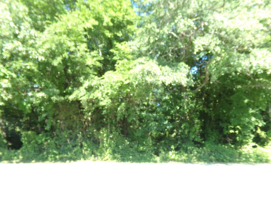 0 Hills Chapel Rd unit RTC2263286, Manchester, TN 37355 - photo 1