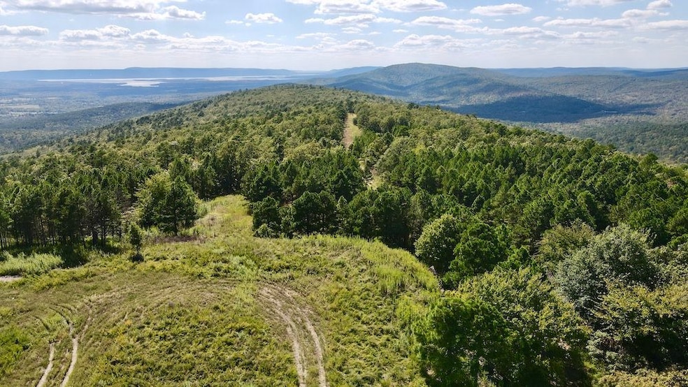 0 Aslin Prairie Rd unit 22990166, Talihina, OK 74571 - photo 1