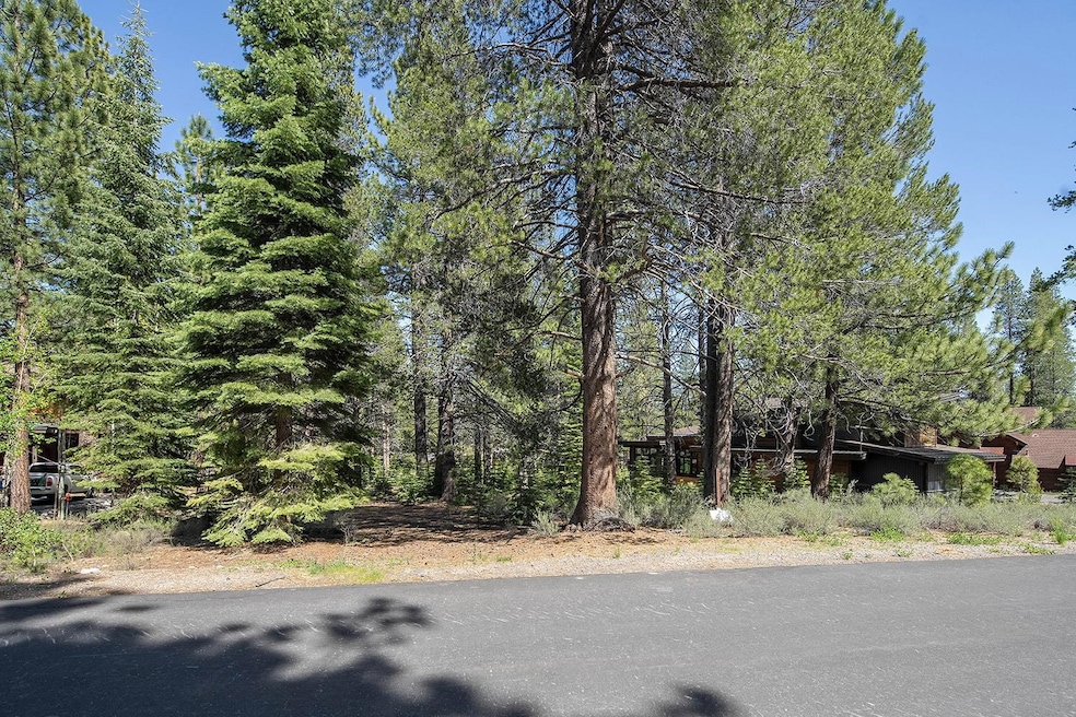 11841 Bottcher Loop, Truckee, CA 96161 - photo 1