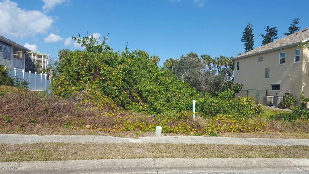 Loggerhead2