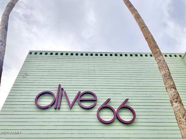 Olive 66