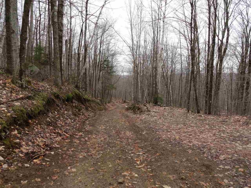 1039 Arcadia Ln, Westmore, VT 05860 - photo 1