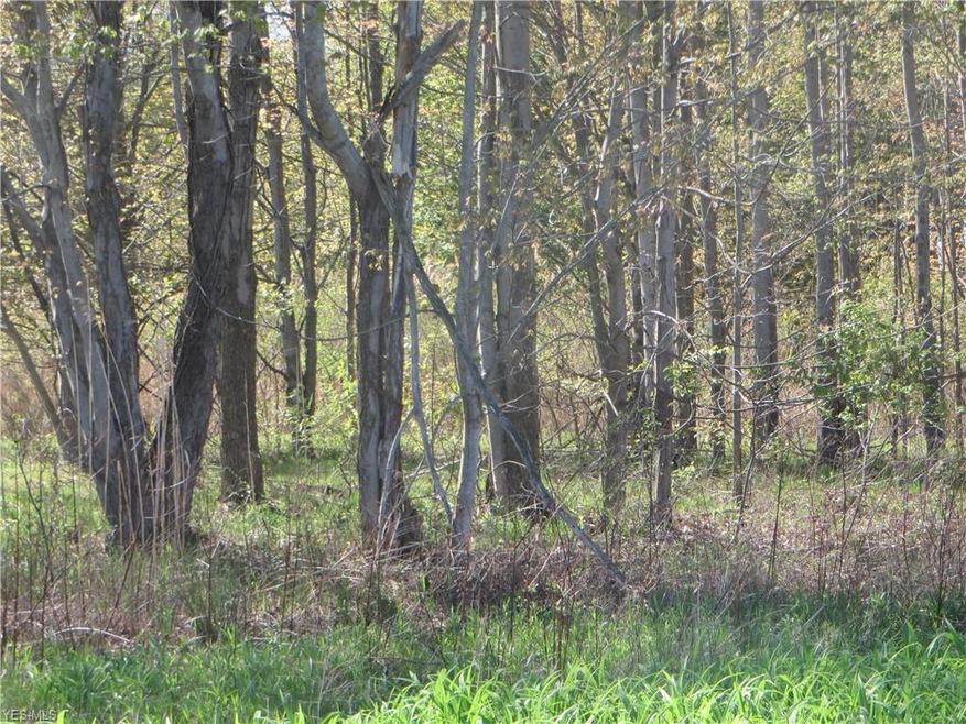 VL Calhoun & State Line Rd, Conneaut, OH 44030 - photo 1