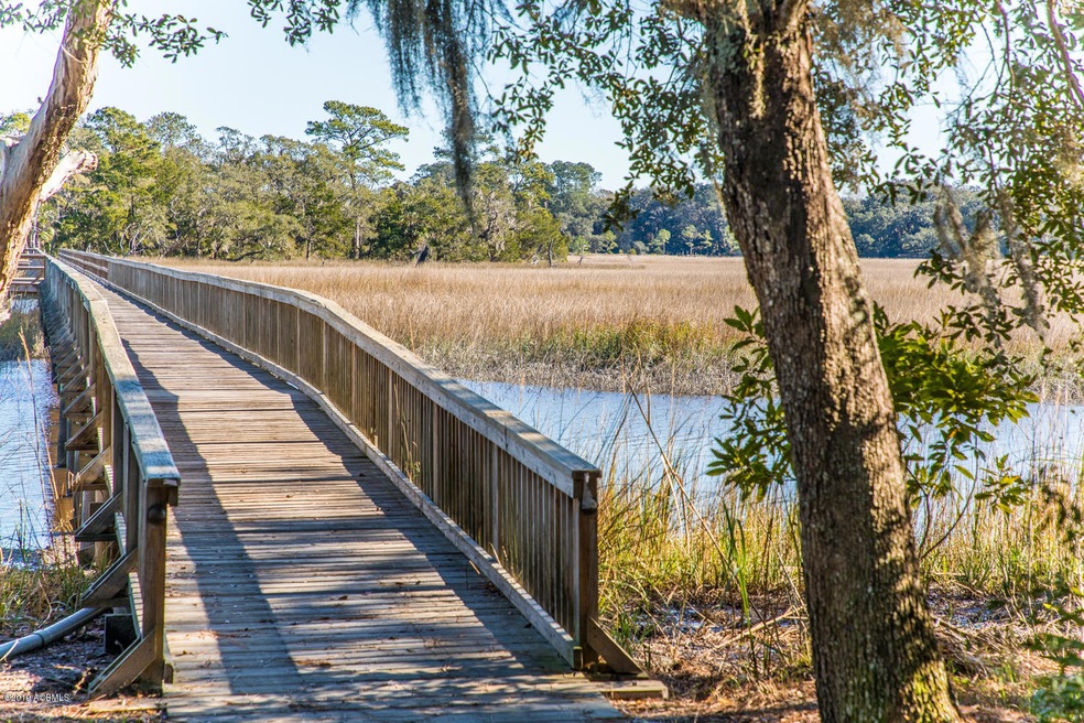 85 Tomotley Barony Dr, Seabrook, SC 29940 - photo 1
