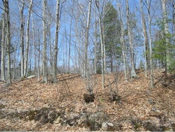 Lot 91-1 Back Canaan Rd, Strafford, NH 03884 - photo 1