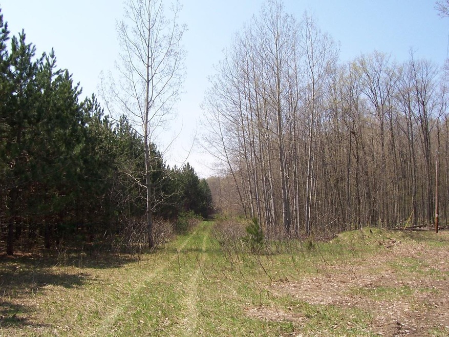 Drive into the property