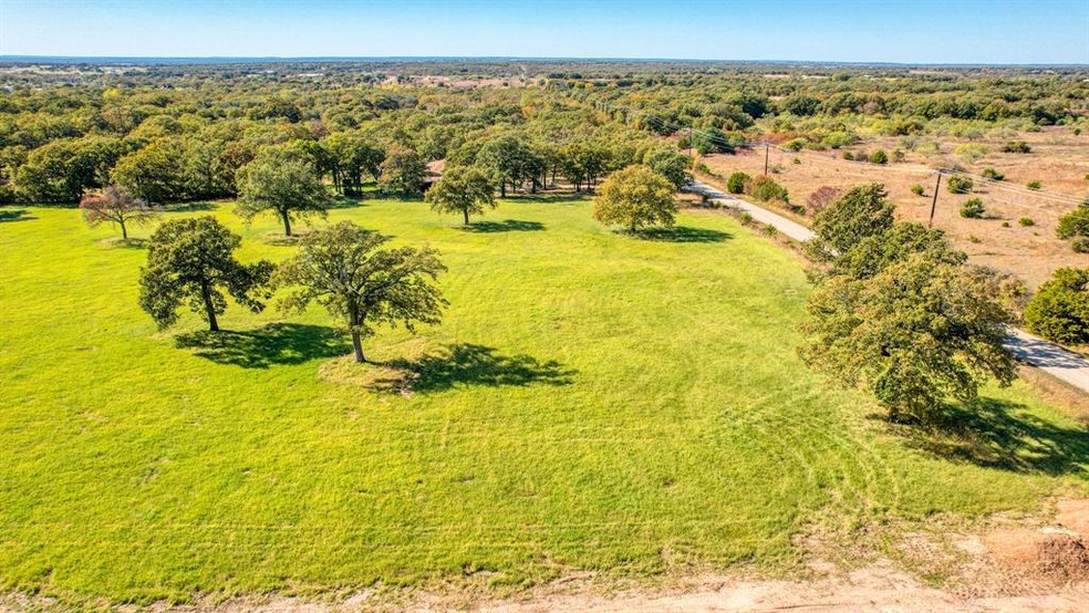 Lot 53 Perkins Rd, Poolville, TX 76487 - photo 1