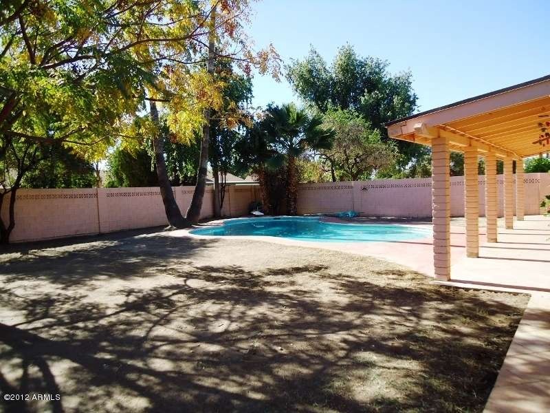 Big Backyard