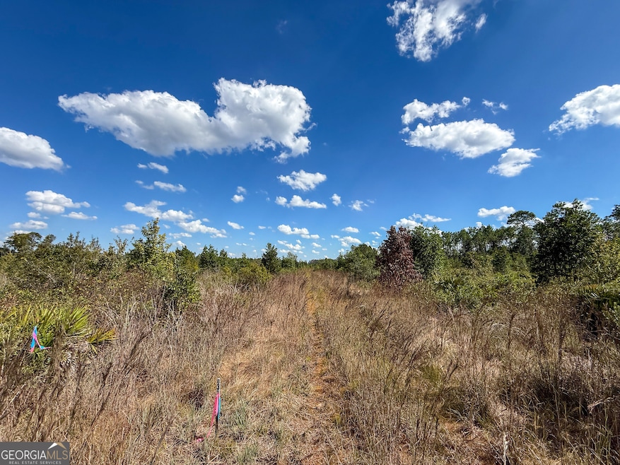 0 U S 84 unit 3 10563296, Homerville, GA 31634 - photo 1