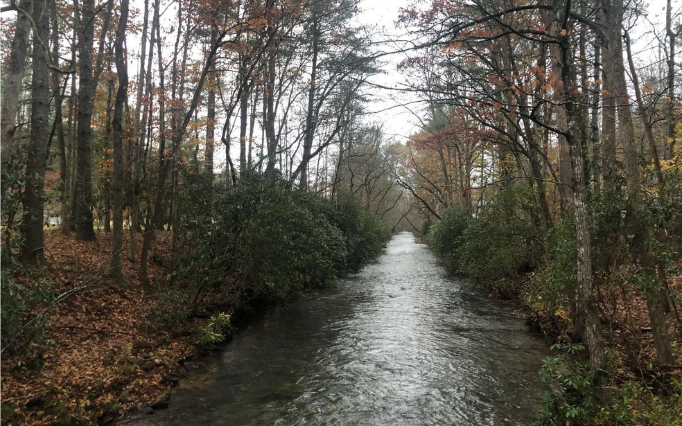 LT 44 Mountain Laurel Rd, Towns, GA 30546 - photo 1