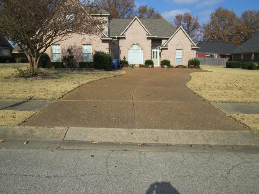 Front View