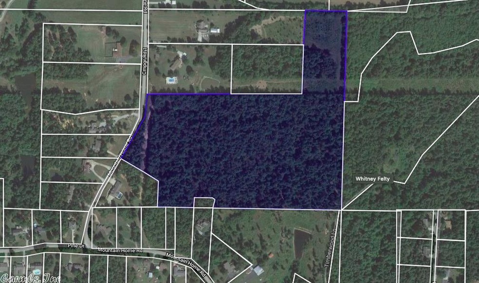 26.59 ACRES Mountain Home Rd, Paragould, AR 72450 - photo 1