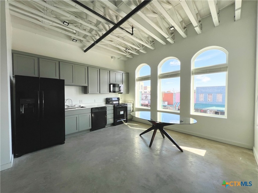 301 N Lbj Dr unit 203, San Marcos, TX 78666 - photo 1