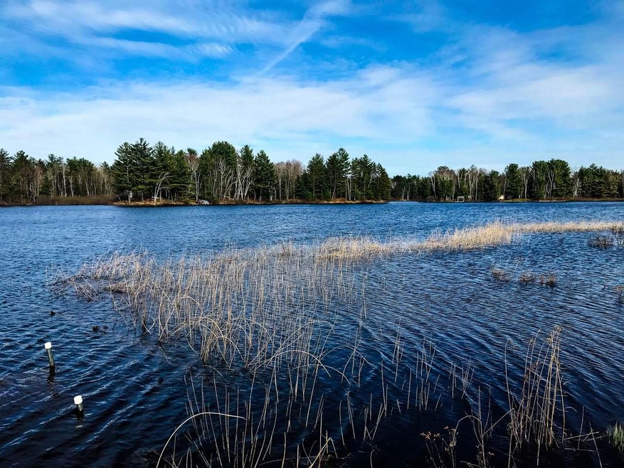 Lots1&19 Whitetailed Deer Dr, Tomahawk, WI 54487 - photo 1