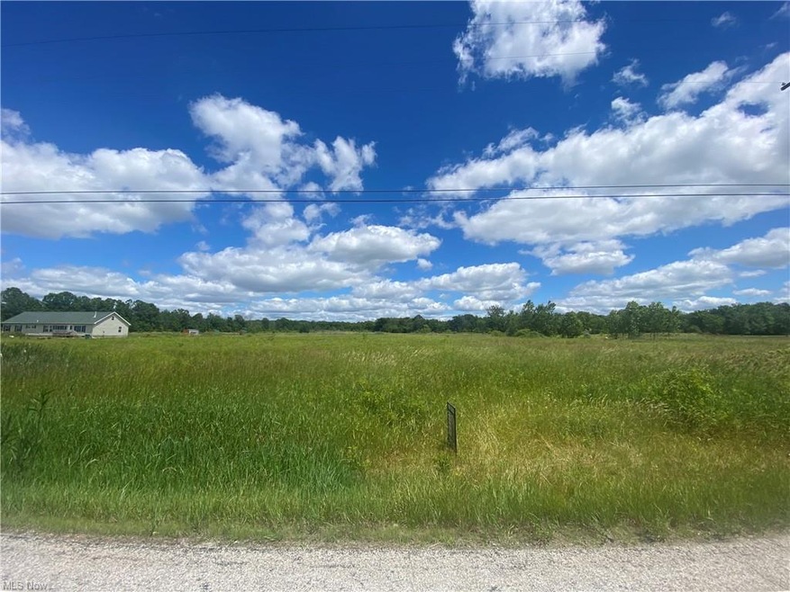 V/L State Route 46, Jefferson, OH 44047 - photo 1