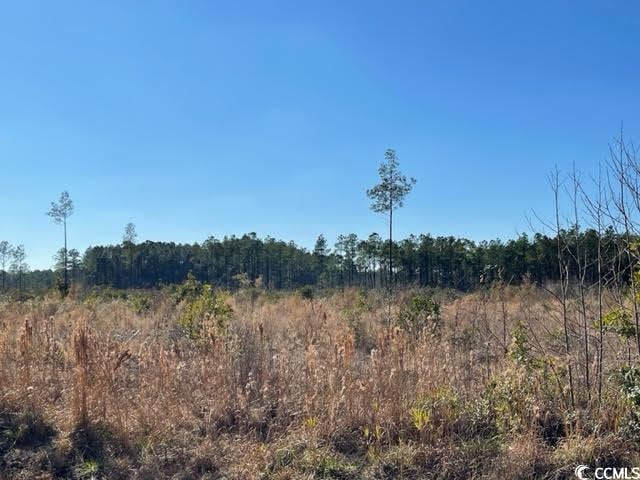 View of nature