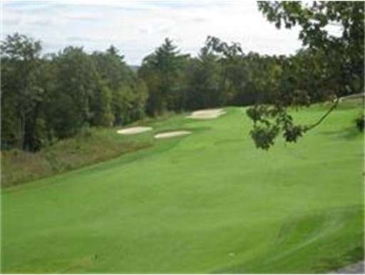 60 Skyline Dr unit 3, Acton, MA 01720 - photo 1