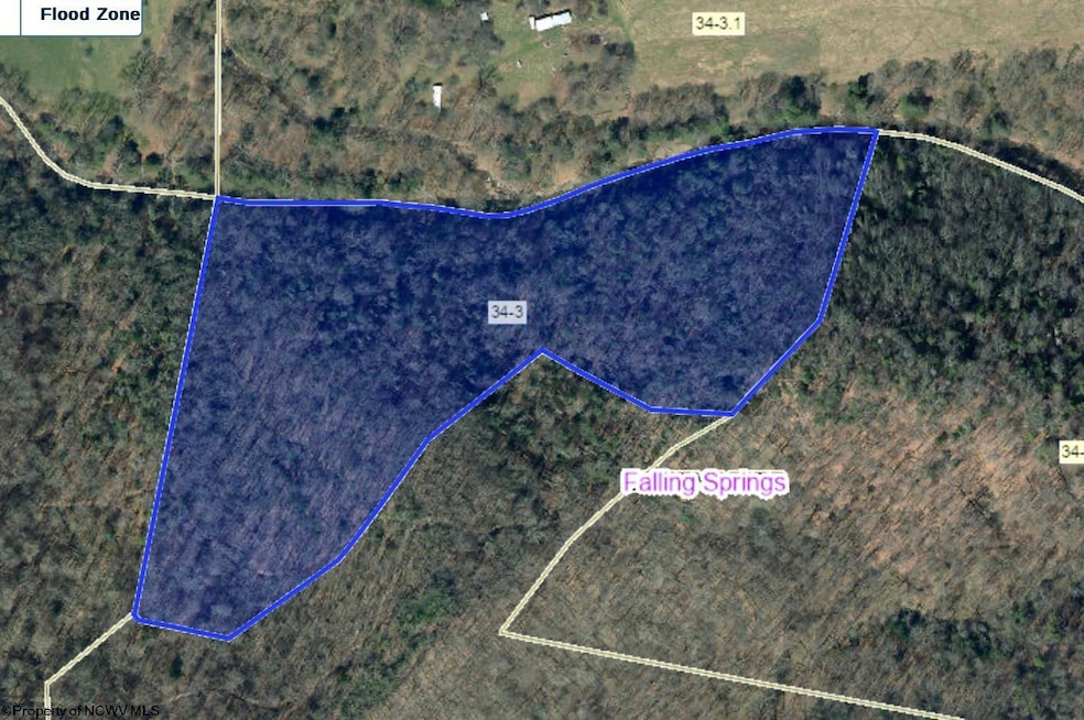 TBD Leonard-Cordova Rd, Renick, WV 24966 - photo 1