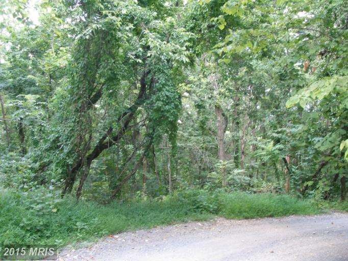 LOT 16 Bragg Dr, Front Royal, VA 22630 - photo 1