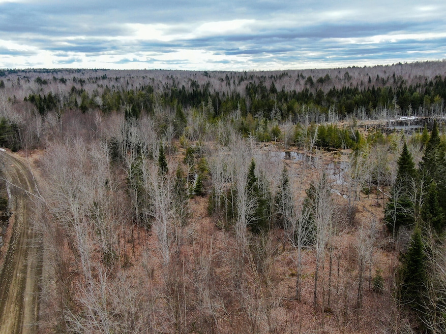 Lot 96 Freedom Way, Prentiss Township T7 R3 Nbpp, ME 04487 - photo 1