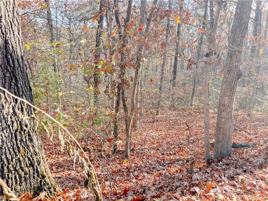 0 Meg Ln unit 1232777, Bella Vista, AR 72714 - photo 1