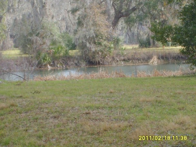 0 Delbert St, Brazoria, TX 77422 - photo 1