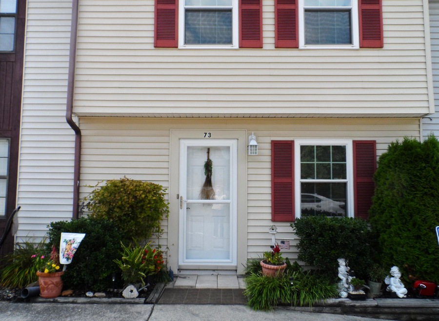 73 Tinkerview front pic