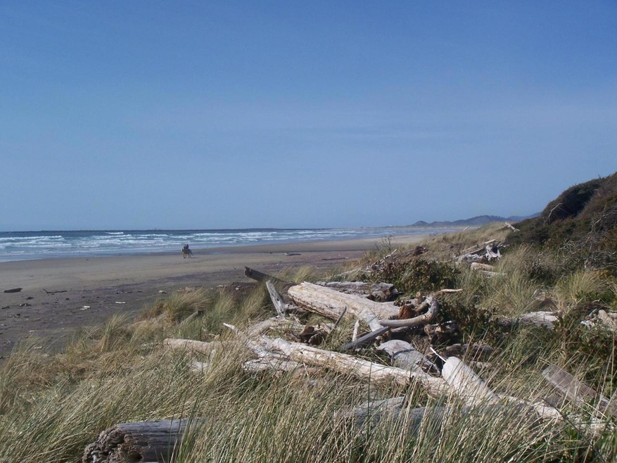 Low Beach Access