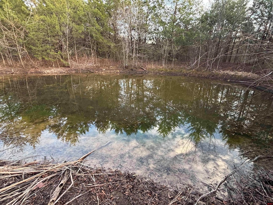 790-00918-000 Marion County 8057, Yellville, AR 72687 - photo 1