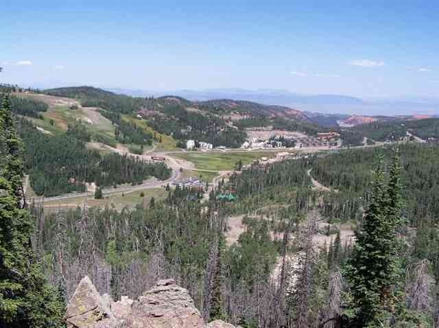 Primary Photo