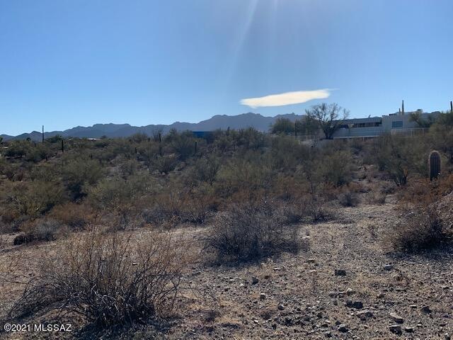 North Tucson Mountain View