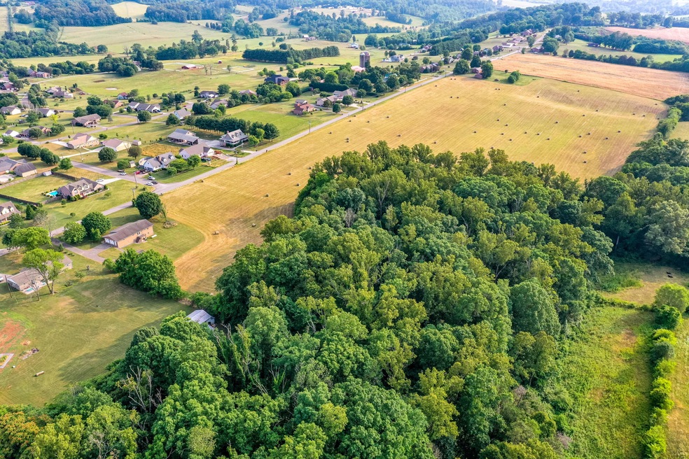 DJI_0888