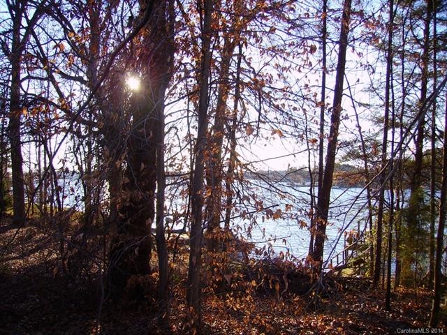 View of Lake from back of Lot