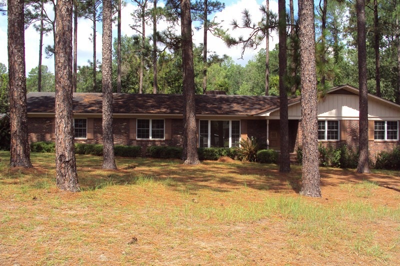 Main View