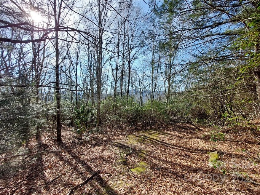 Nice spot for a home - great southern exposure