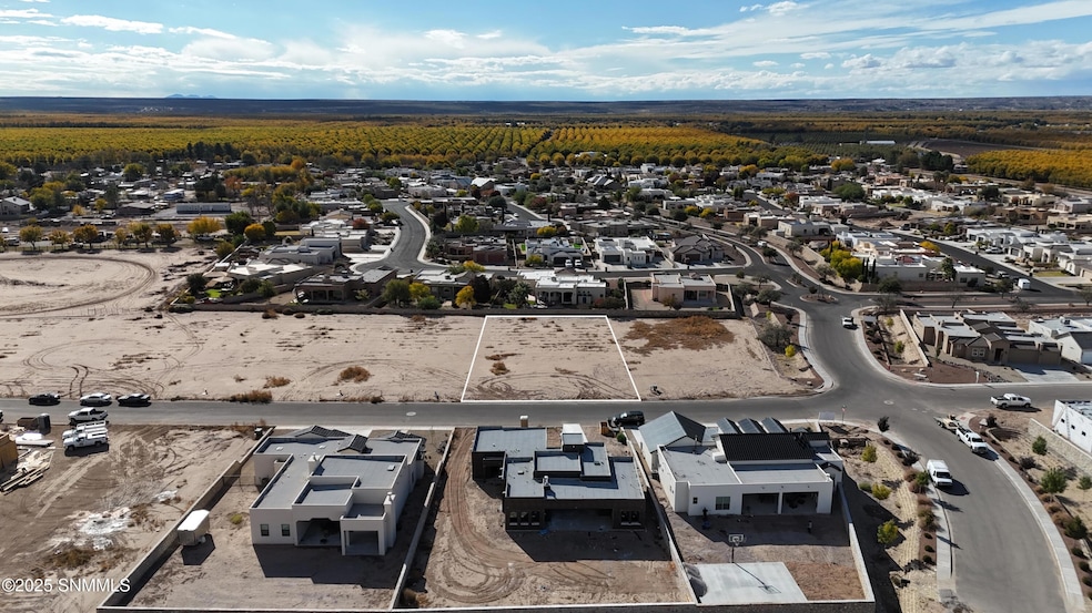 3969 Santa Catalina Loop, Las Cruces, NM 88005 - photo 1